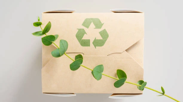 Brown paper takeaway box with a green recycling symbol and a sprig of eucalyptus leaves.