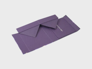Foldable Box 